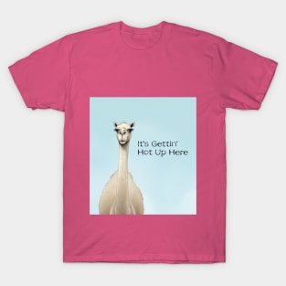 Camel it's gettin' hot up here T-Shirt